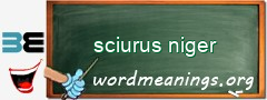 WordMeaning blackboard for sciurus niger